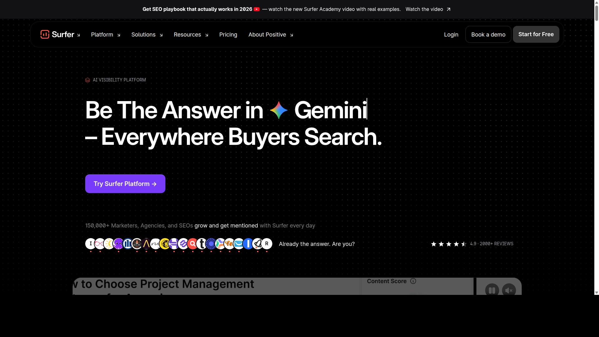 Surfer SEO website